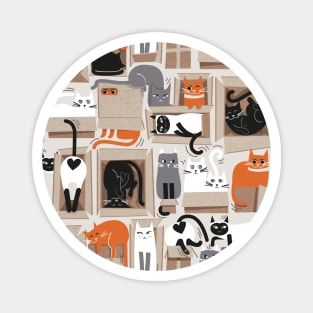 Purfect feline architecture // pattern // beige background cute cats in cardboard boxes Magnet